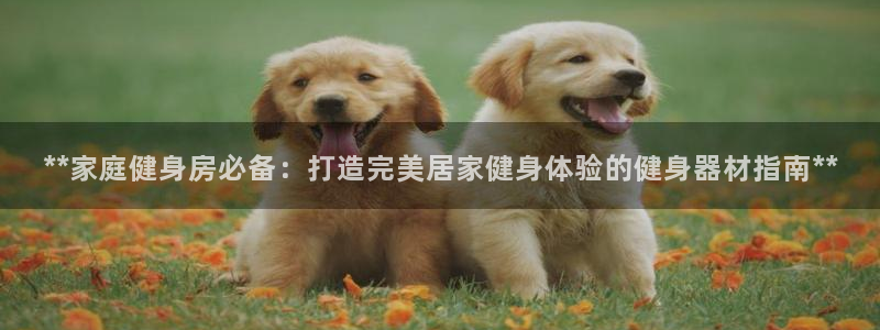 龙8国际头号玩家下载