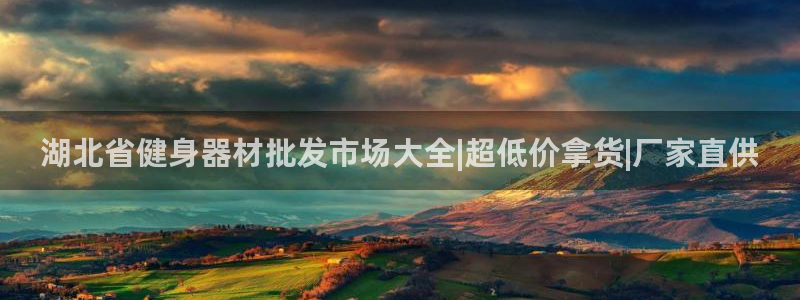 龙8国际备用