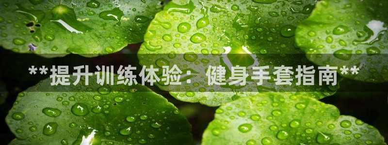 龙8国际app下载安装