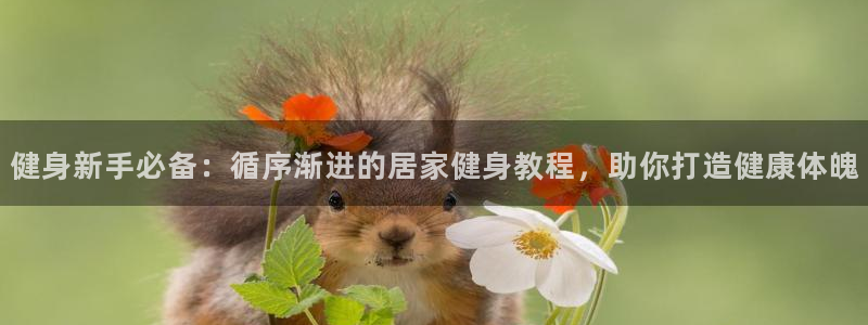 龙8国际是什么平台