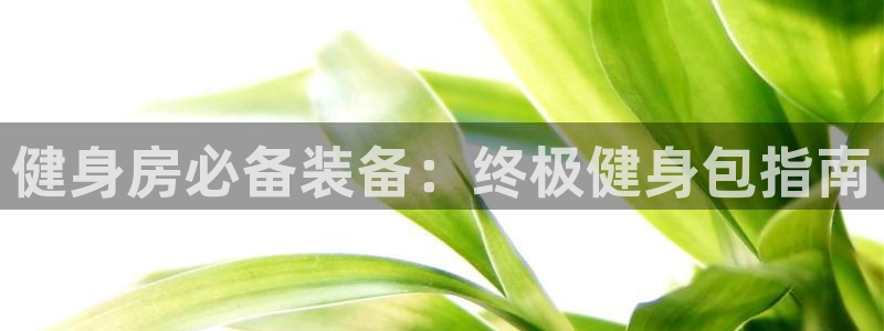 龙8国际平台输了多少