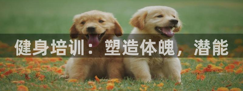 龙8国际唯一官网