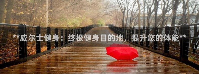龙8国际怎么样