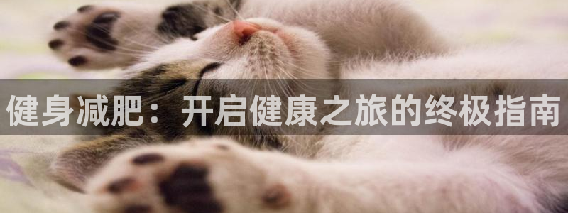 龙8国际是什么电影