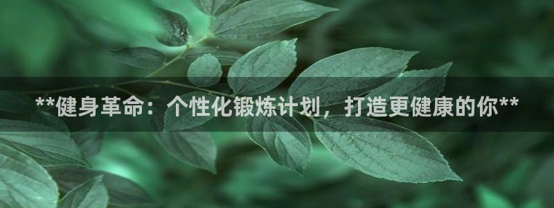 龙8国际最新官网