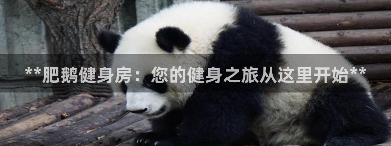 龙8国际老虎机官网