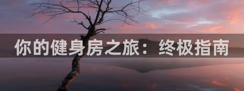 龙8国际官网版玩法