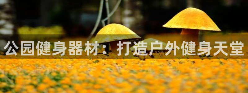 龙八国际娱乐官网app