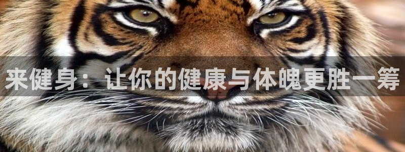 龙8国际官方网址下载