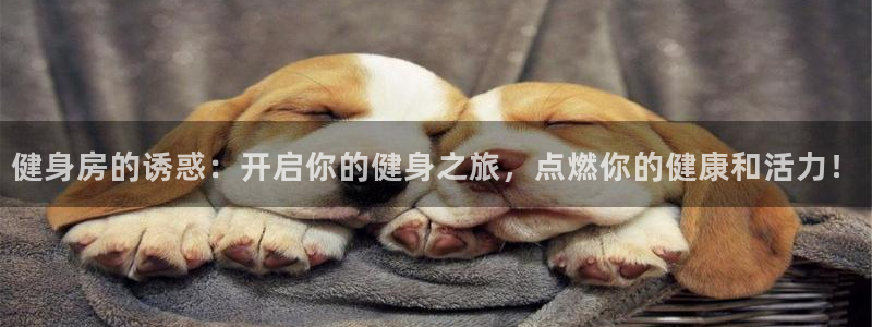 龙8游戏平台官方网站是多少