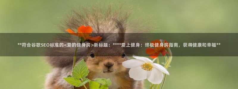 国际龙8hk