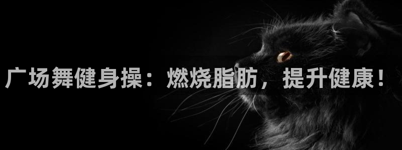 龙8老虎机网络游戏