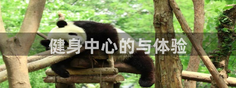 龙8国际app 下载