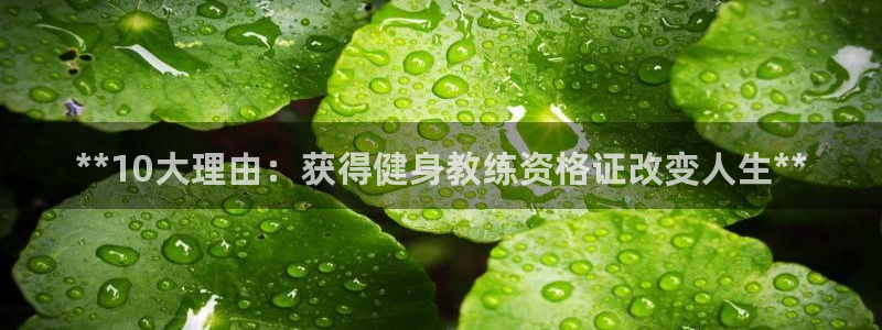 龙8国际网页版下载