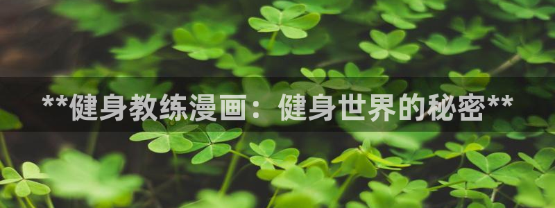 国际龙8下载