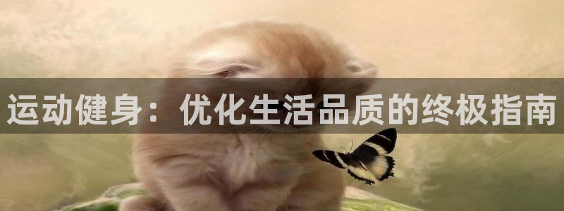 龙8国际网站是多少