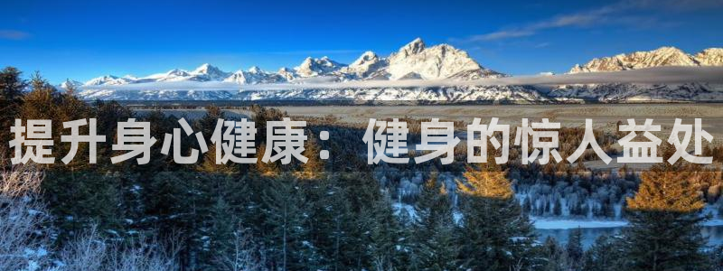 龙8国际网址