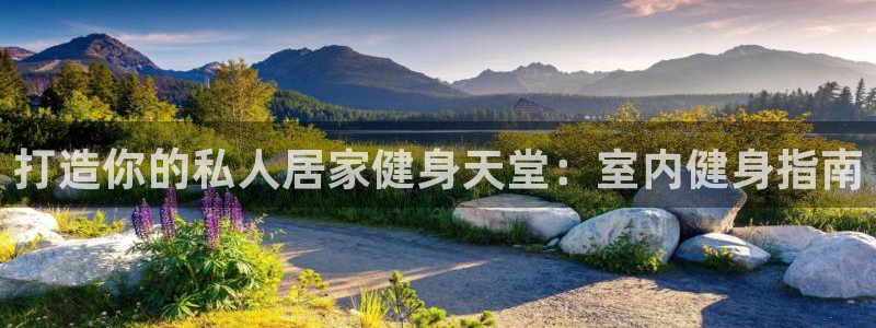 龙8国际平台官网