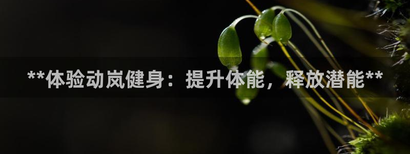 龙8国际唯一官网登录口