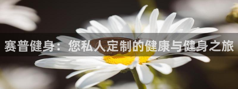 龙8国际网页版下载