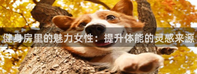 龙8国际手机版下载
