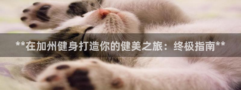 龙8国际电子游戏