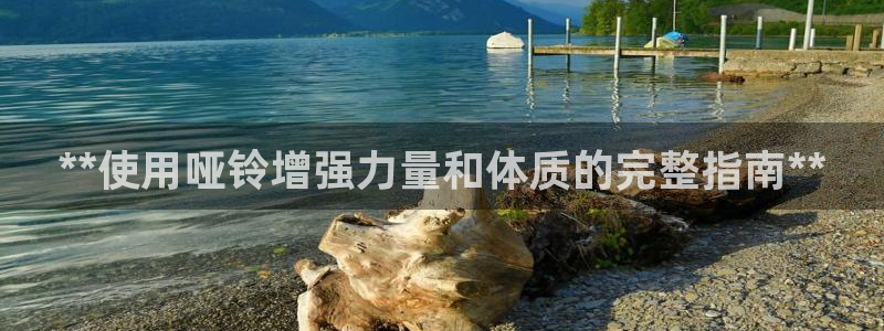 龙八国际官网下载