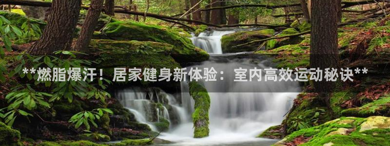 龙8国际龙8官方