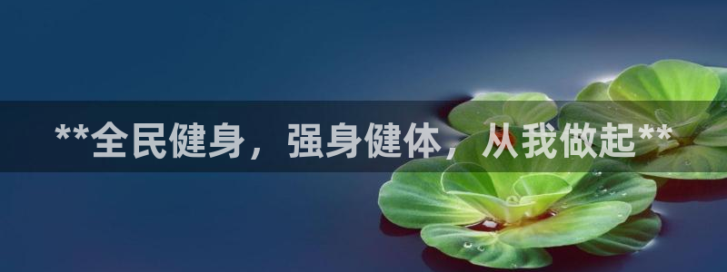 龙8国际pt