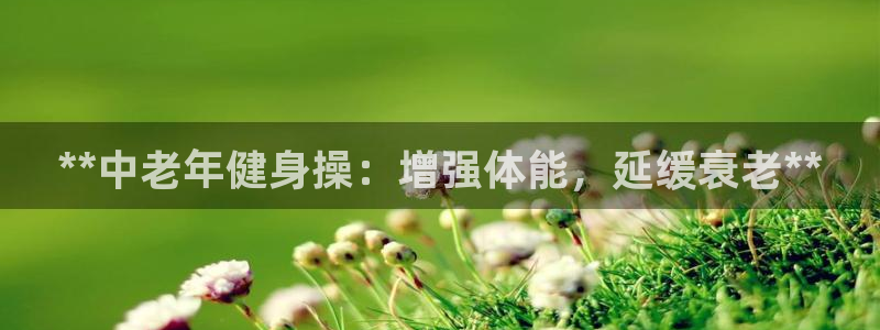 龙8游戏网站