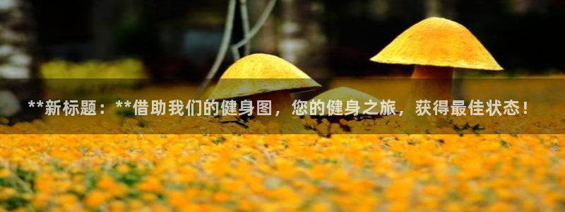 龙8国际网址多少