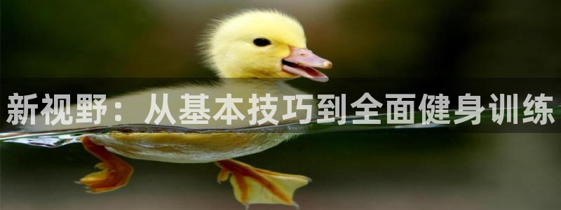 龙8娱乐官方老虎机中国大陆