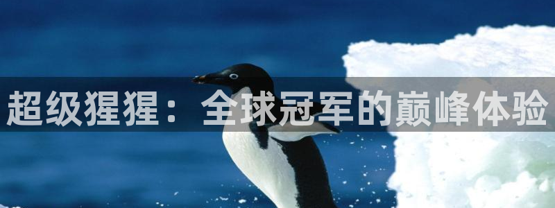 龙8国际老虎机游戏