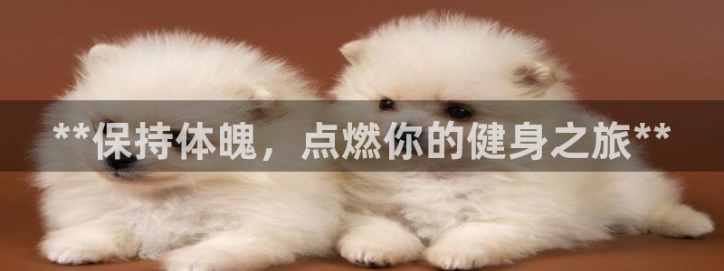 龙8国际app下载安装