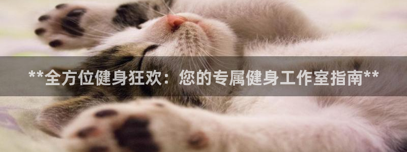 龙8国际游戏官方进入的介绍