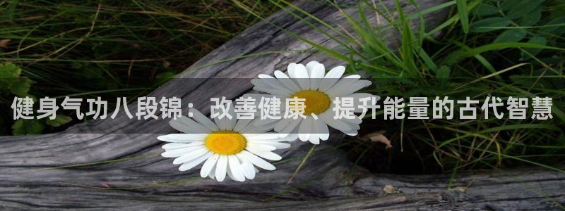 龙8官网国际