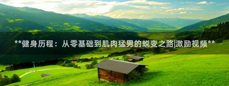 龙8国际平台输了多少