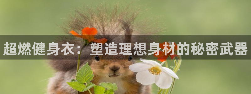 龙8国际手机登