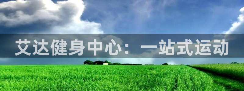 龙8官网国际