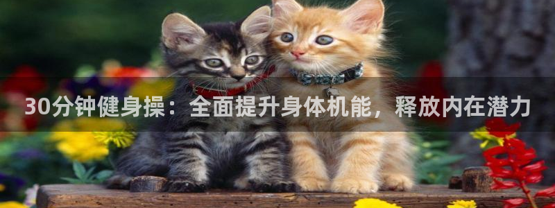 龙8全新客户端安卓版