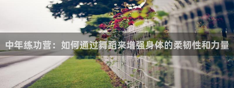 龙8国际long8