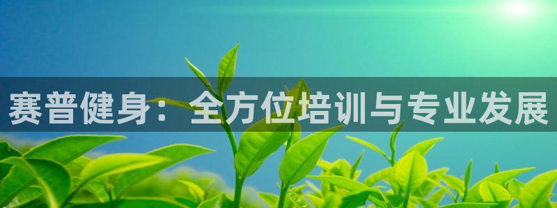 龙八国际服官网站