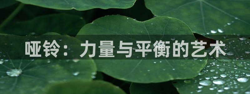龙8国际官网 点此进入游戏