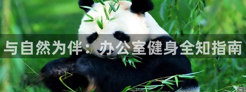 龙8国际老虎机游戏