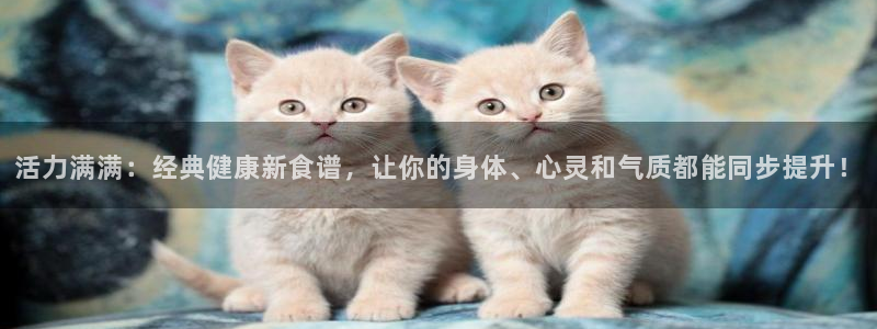 龙8国际游戏娱乐