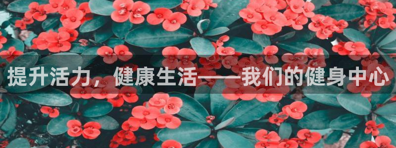 龙8国际官网多少