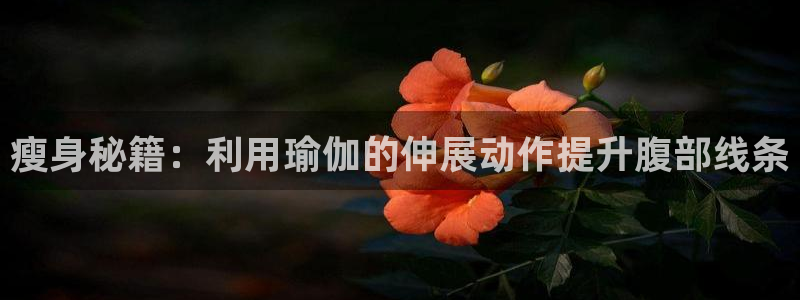 龙8游戏官方进入