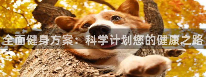 龙8官网手机版国际网页登录