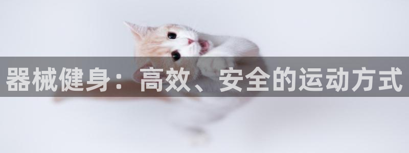 龙8国际唯一登录地址