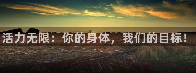 龙 八国际